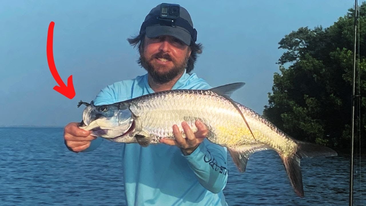 Is THIS The BEST Artificial Lure For Juvenile Tarpon?