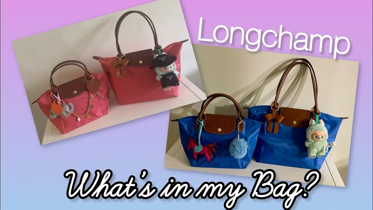 What's in my Bag? | Longchamp Le Pliage Small Handbag and Medium Tote | Nordstrom deals