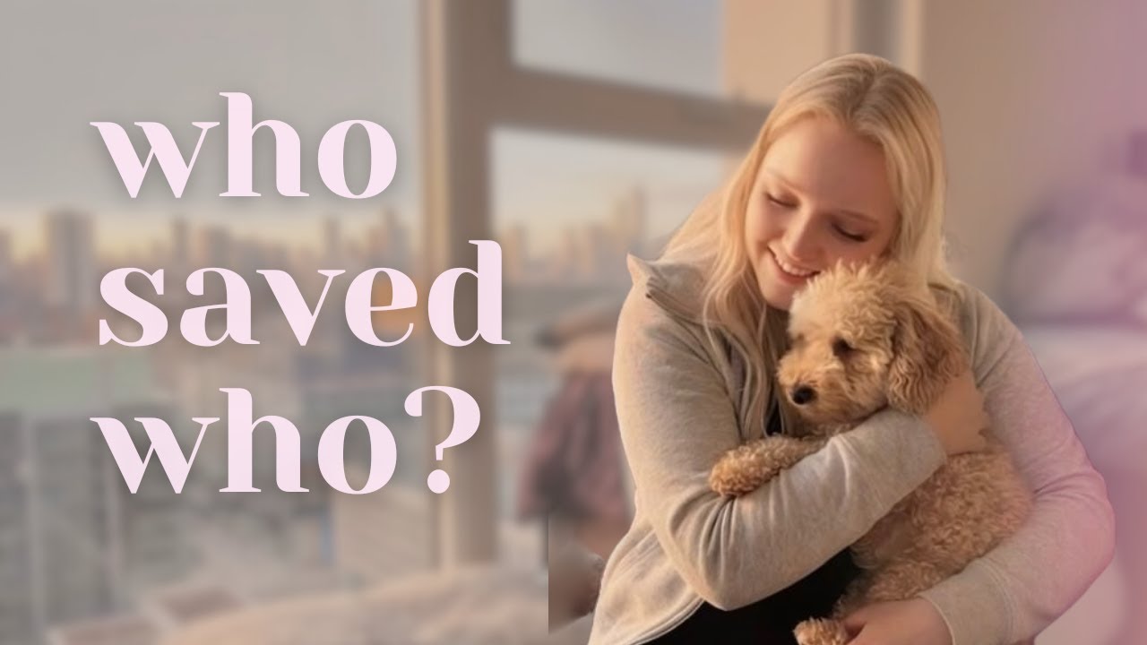Who Really Saved Who? My Agoraphobia & Rescue Dog Story (Starting Our Foster Journey)