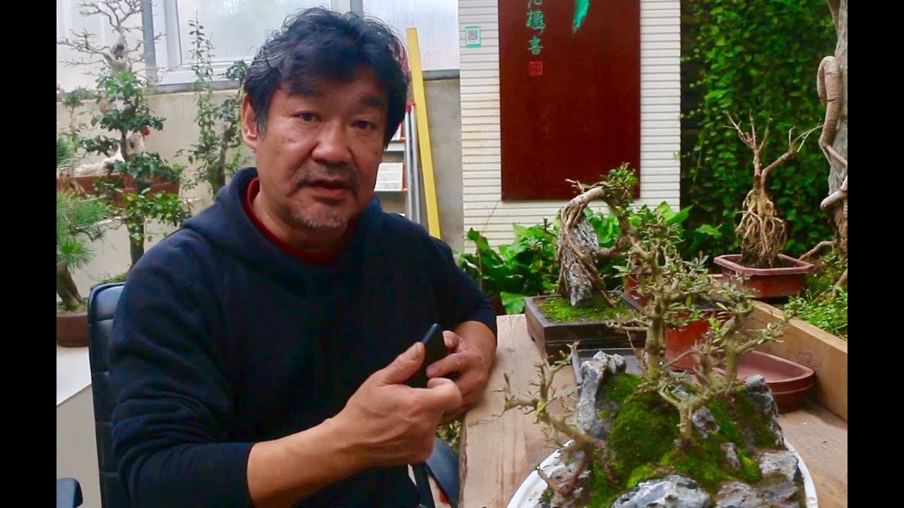 苔藓为何总养不活？困扰了许多爱好者的难题，大叔来给你解决！