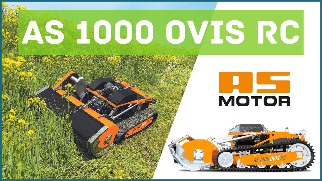 AS MOTOR  - 1000 Ovis RC