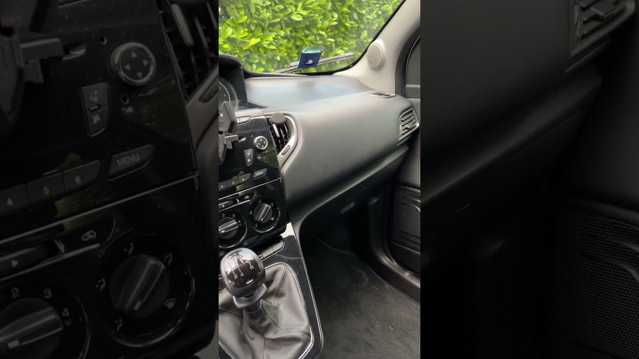 Errore U1733 Blu&me Lancia Ypsilon 0.9 CNG (Risolto)