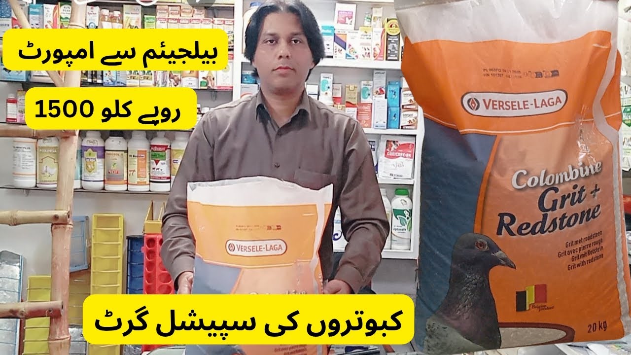 Verselaga Imported Grit + Red Stone | بیلجیئم امپورٹ کبوتروں کی سپیشل گرٹ | 