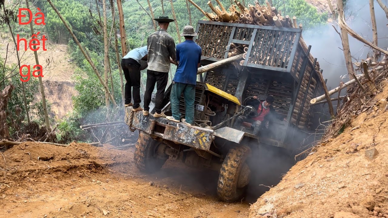 Xe độ chở gỗ keo leo lên dốc đứng đà hết ga deawoo