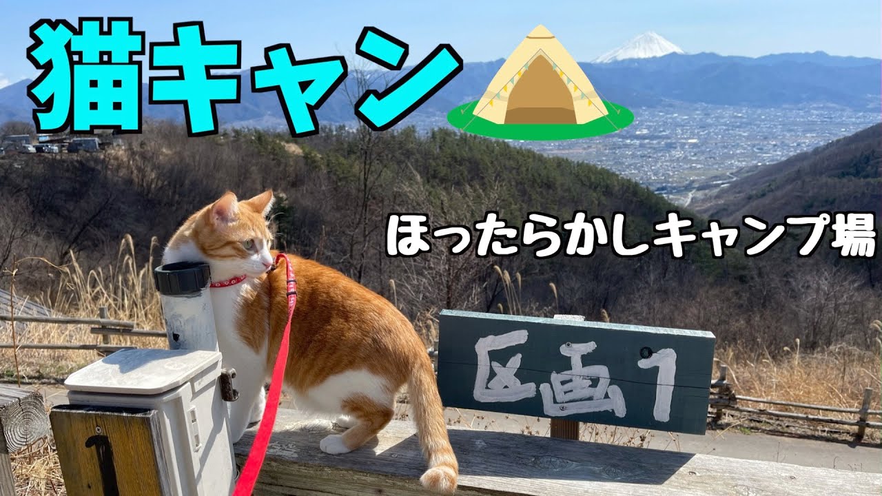 プチ遭難あり！猫とキャンピングカーとほったらかし温泉キャンプ場【ハイエース車中泊女子】