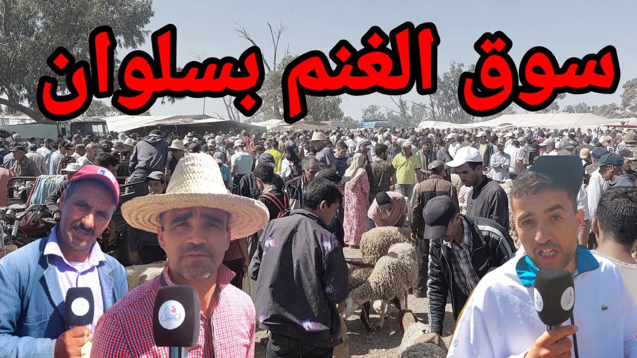 قبل أسبوعين من عيد الأضحى هذه أثمنة المواشي في سوق سلوان الأسبوعي