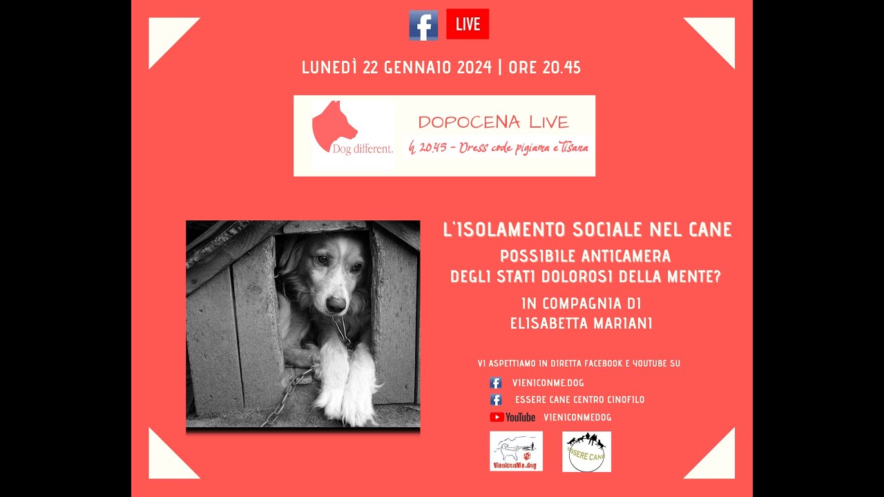 #120 DOPOCENA LIVE | ELISABETTA MARIANI | L'ISOLAMENTO SOCIALE NEL CANE