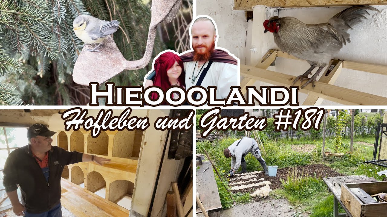 HOFLEBEN UND GARTEN VLOG 🏡 181 🌿 Der Hahn ist da und die Nester sind bereit!