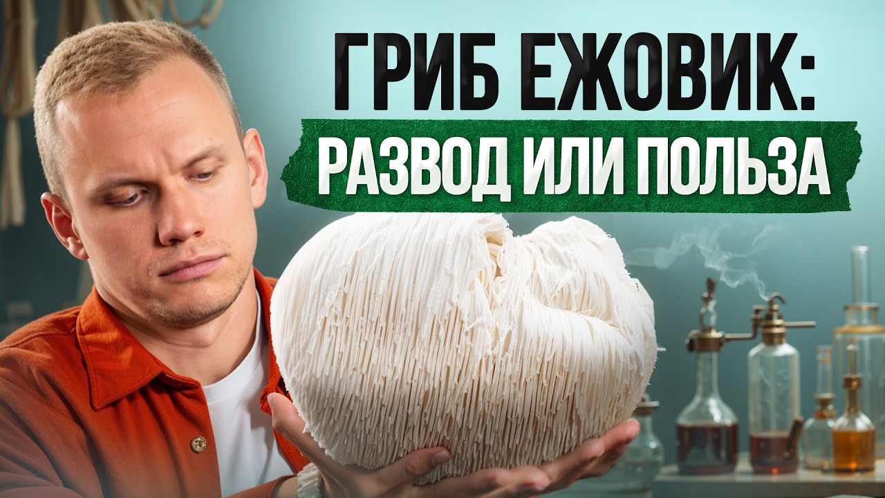НЕ покупай ЕЖОВИК гребенчатый, пока не посмотришь это видео!