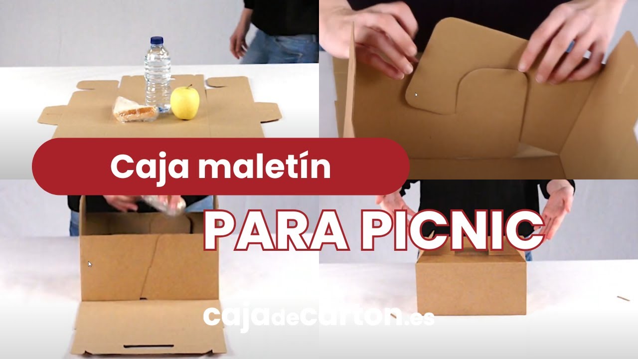 CAJA MALETÍN PARA PICNIC 240 X 132 X 125 MM