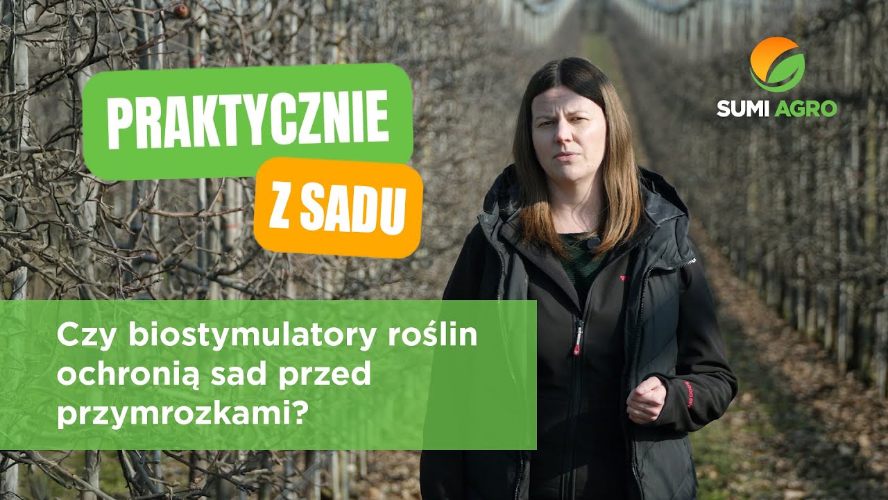 Czy biostymulatory roślin ochronią sad przed przymrozkami?