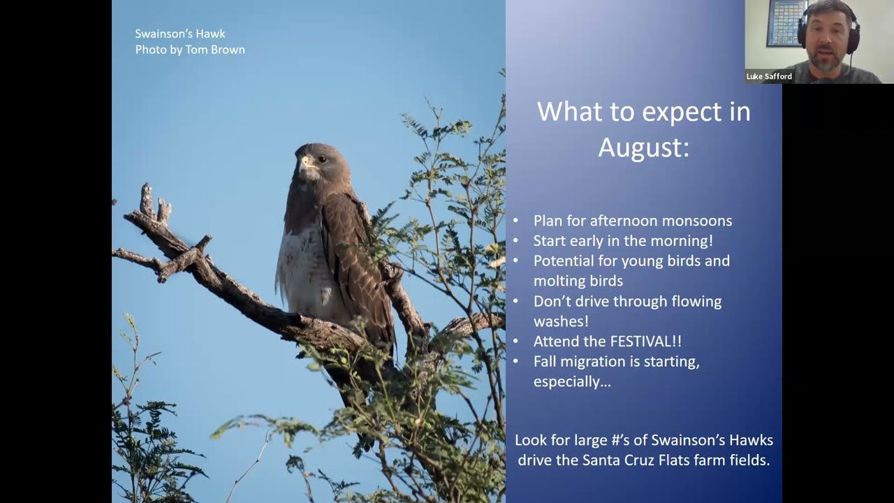 Birding the Calendar- Where to Go Birding in August with Luke Safford