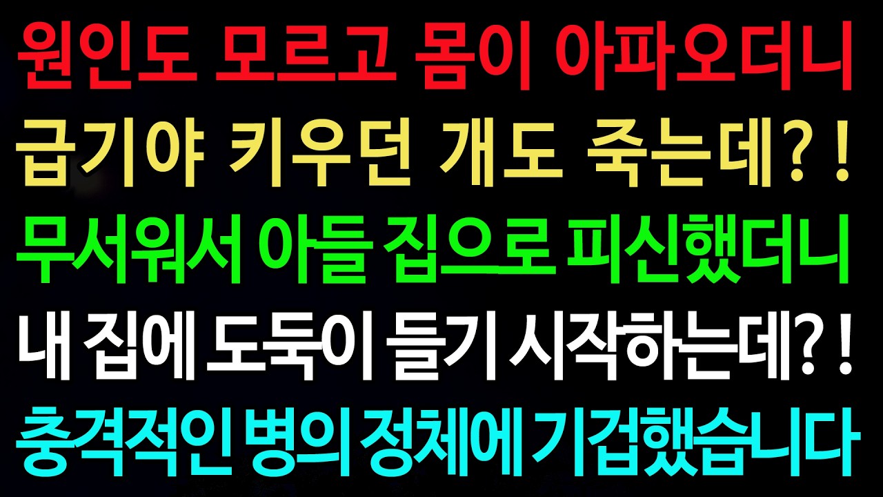 실화사연-원인도 모르고 몸이 아파오더니 급기야 키우던 개도 죽는데?! 무서워서 아들 집으로 피신했더니 /실화사연/신청사연/사이다썰/반전사연/사연라디오