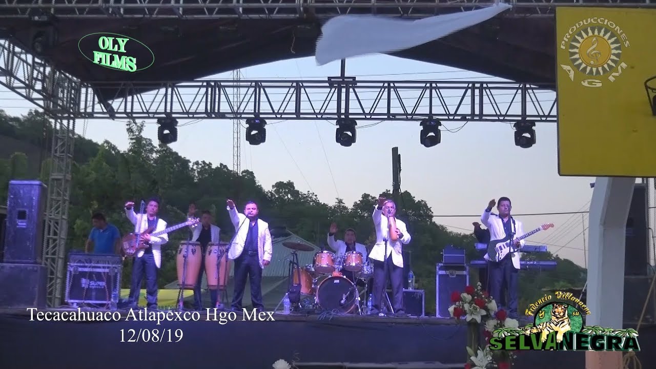 Selva Negra│En vivo│Tecacahuaco Atlapexco Hgo Ver Full Hd 2019