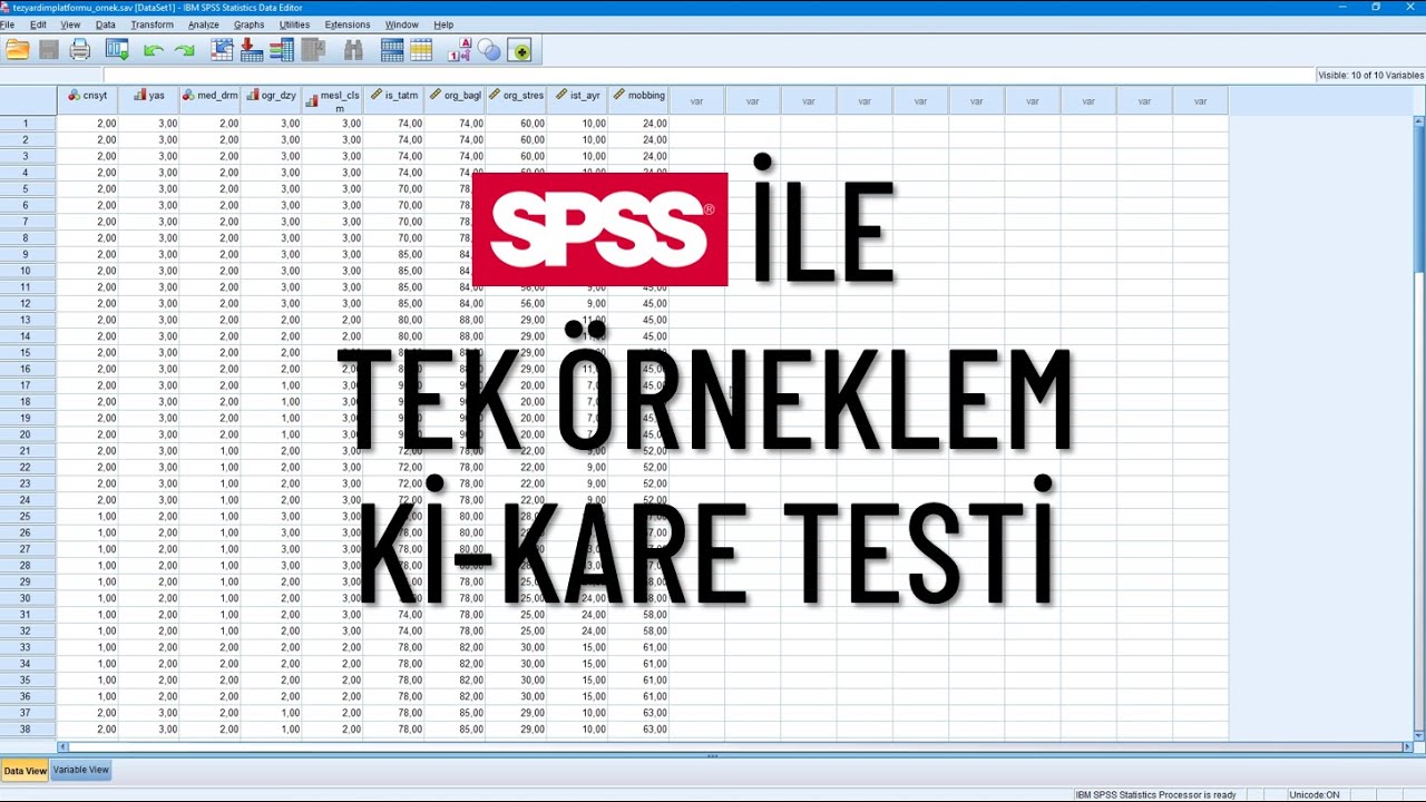 SPSS İle Tek Örneklem Ki-Kare (Chi-Square) Testi | Amacı ve Ön Şartları İle