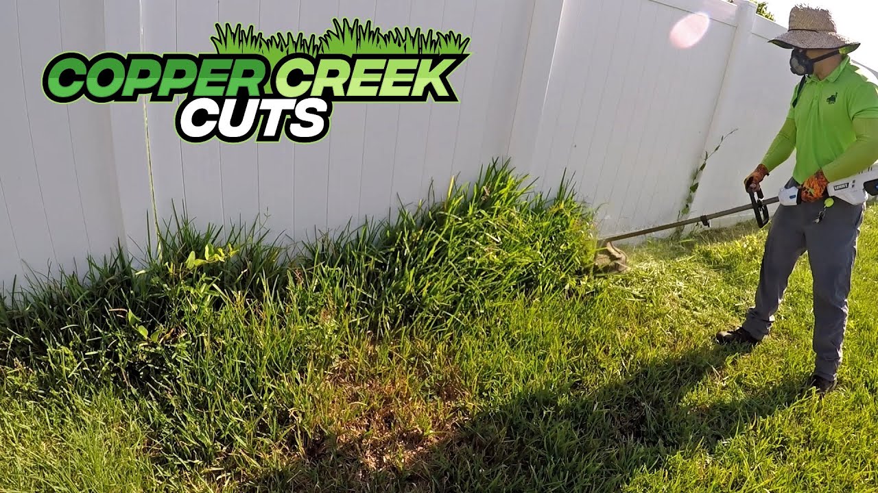This Yard Was Seriously Messed Up