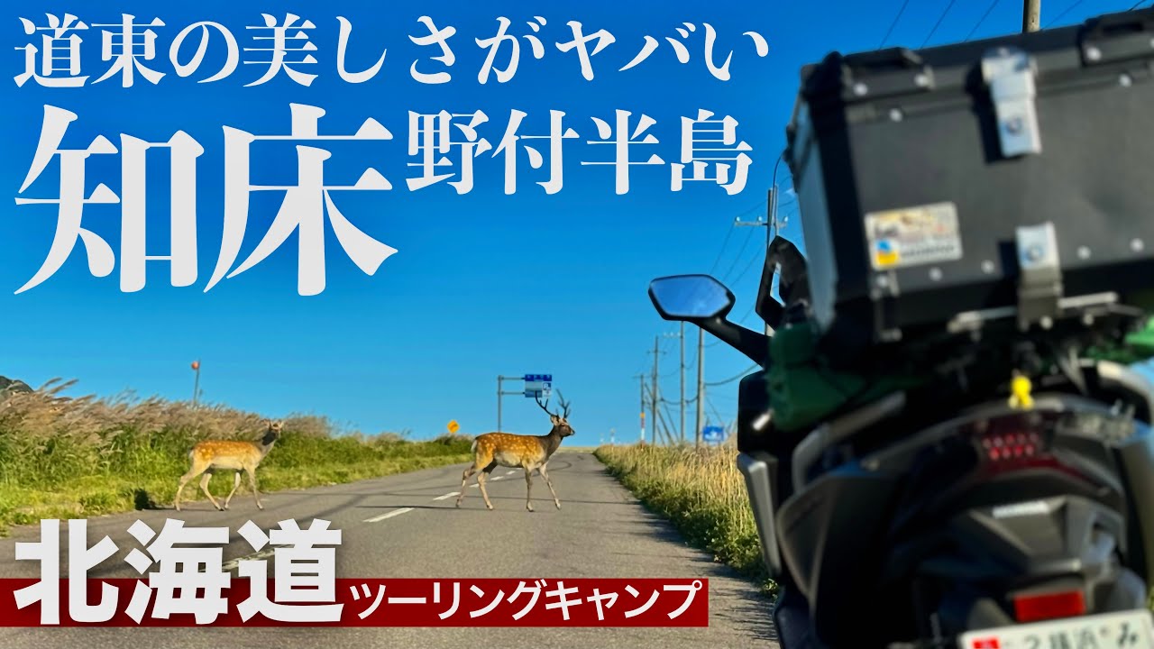 【北海道ツーリング恐怖体験】道東の美しさと注意すべき事！バイク乗りなら一度は行きたい知床と野付半島！フォルツァ250