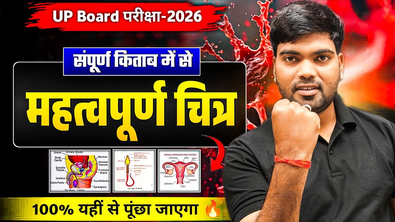 23 फरवरी, Biology के पेपर में आने वाले चित्र🔥| जल्दी से देख लो 🤫 | 12th Biology Important Diagrams 