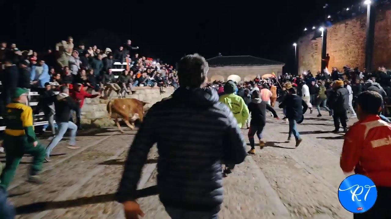 Desencierro Tarde 14 febrero Ciudad Rodrigo 2026