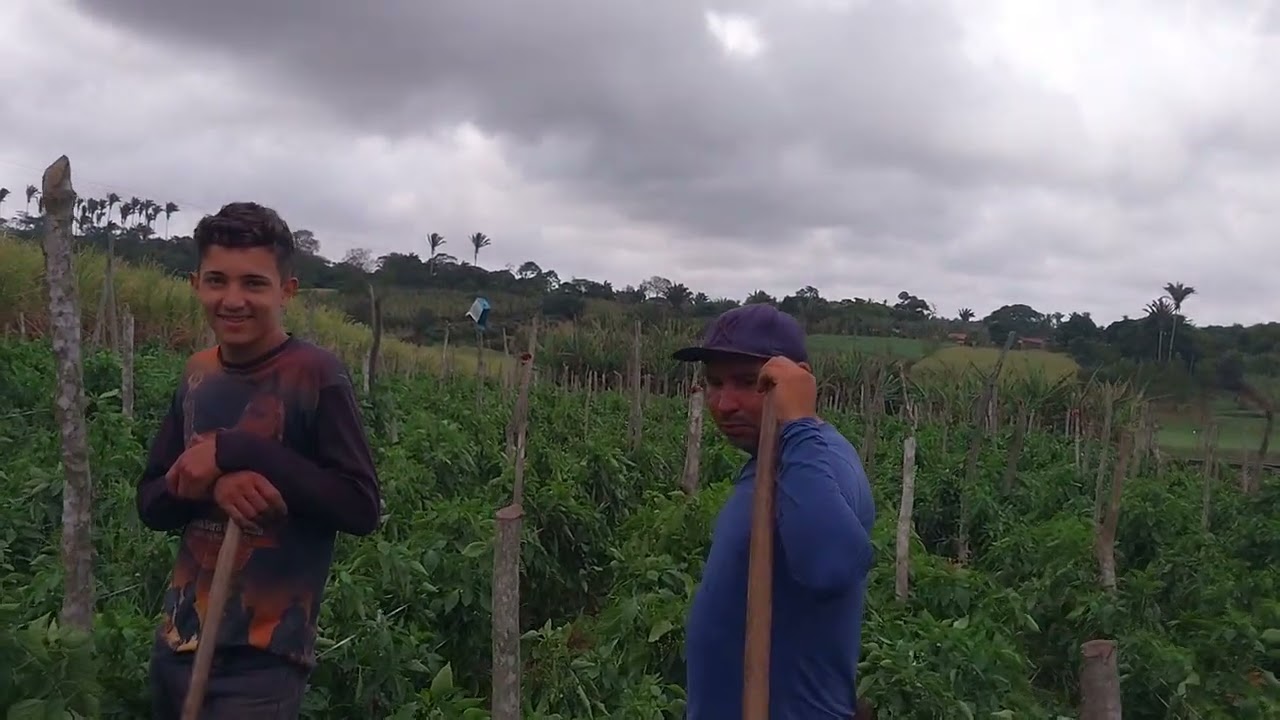 Vídeo da zona rural de São Benedito Ceará. Brasil.