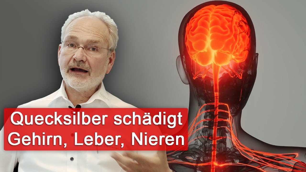 Quecksilber: Autoimmunerkrankungen, Sch&auml;digung von Gehirn, Leber und Nieren