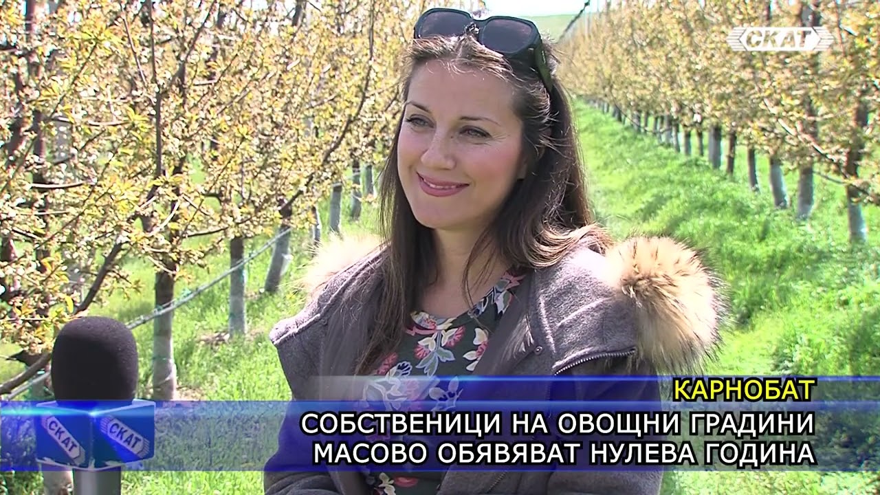 Собственици на овощни градини масово обявяват нулева година