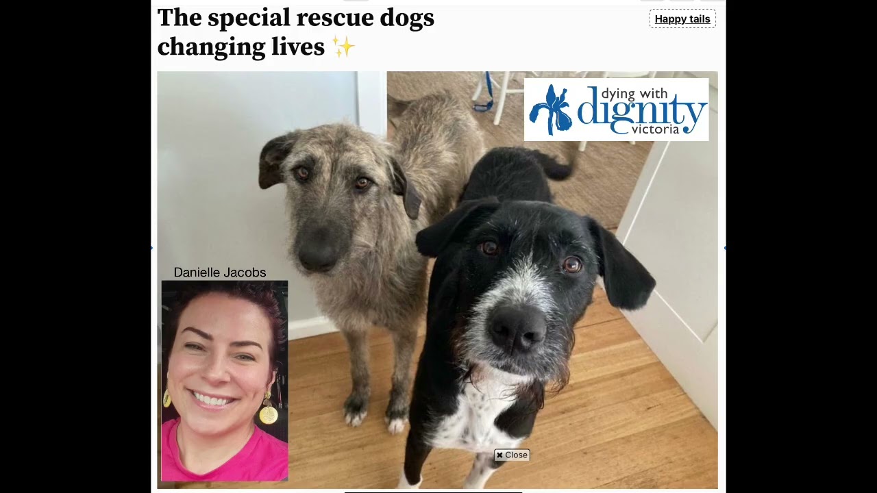 Nightshift 15 9 25 - Ollie & Mia: The Rescue Dogs Changing End-of-Life Care (with Danielle Jacobs)