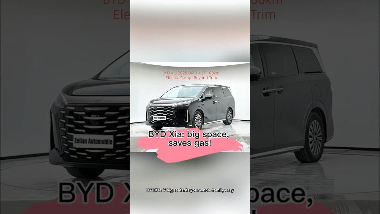 Should Families Pick the BYD Xia? 