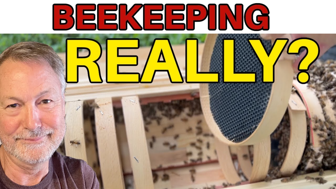 Beekeeping In A Non-Standard Hive | Making A Natural Honey Bee Hive