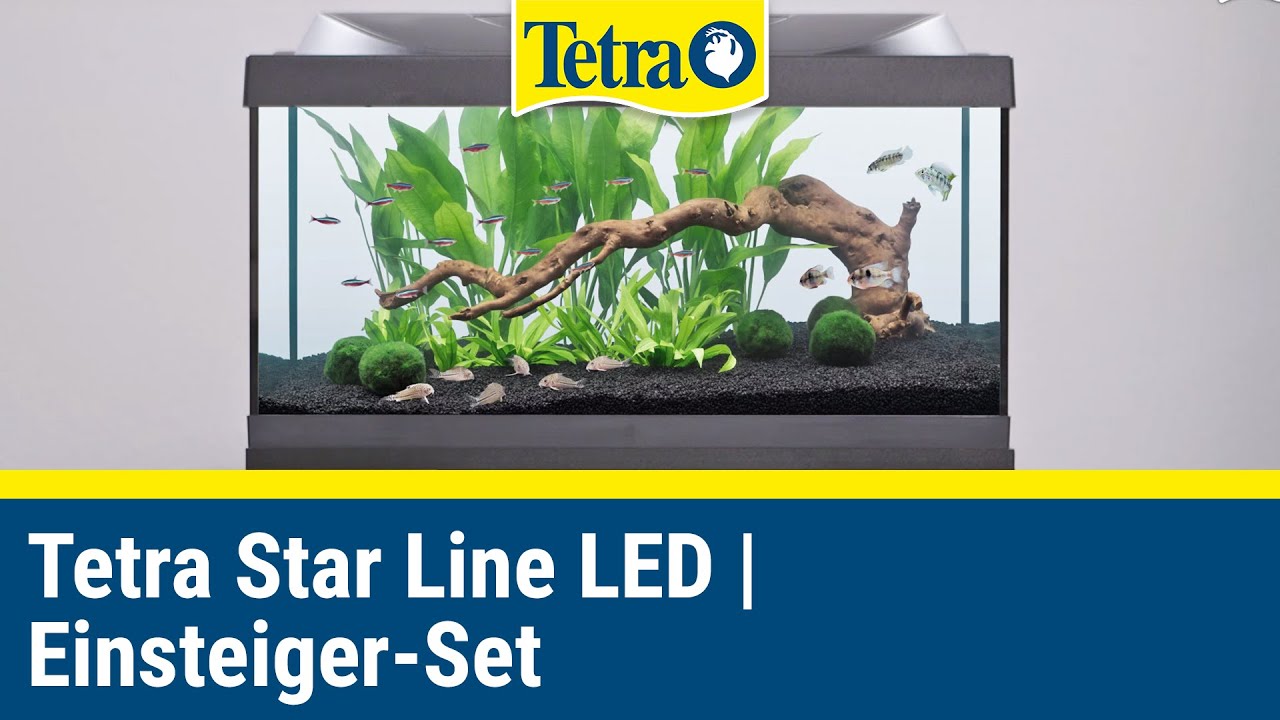 Tetra Starter Line LED Aquarium | Einsteiger-Set in die Aquaristik