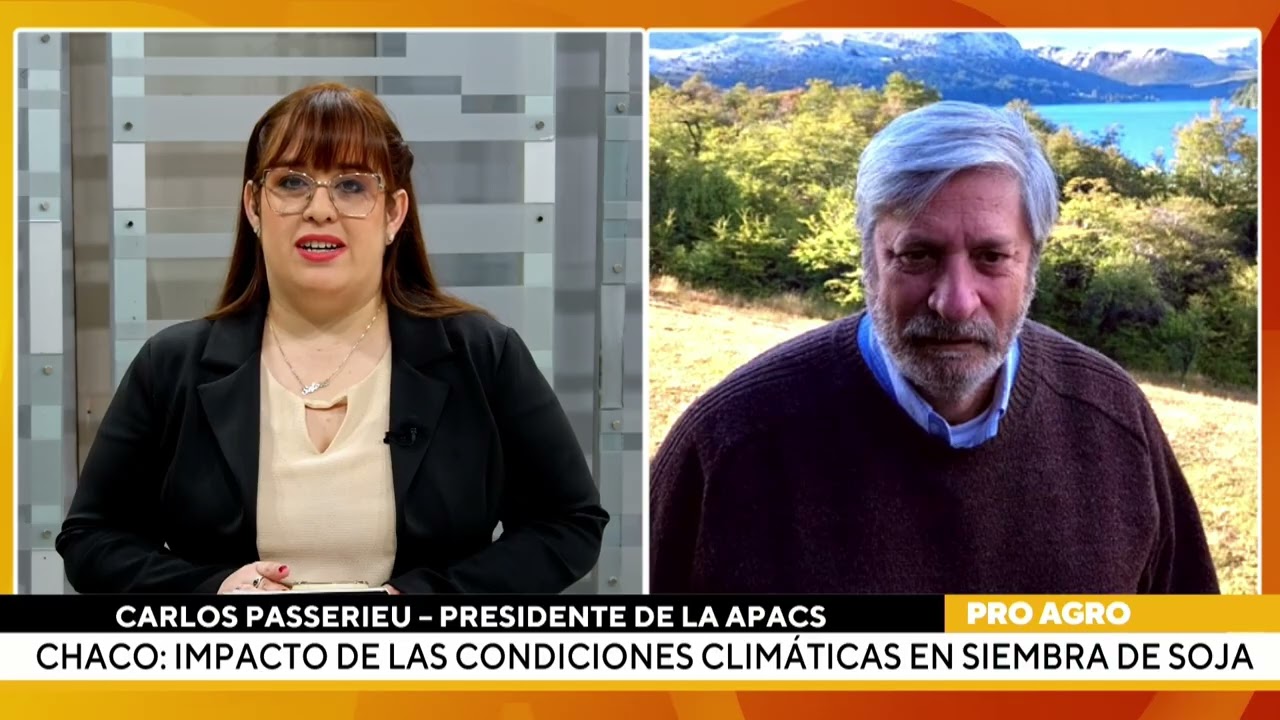 Avance de la siembra de soja en el Chaco paraguayo