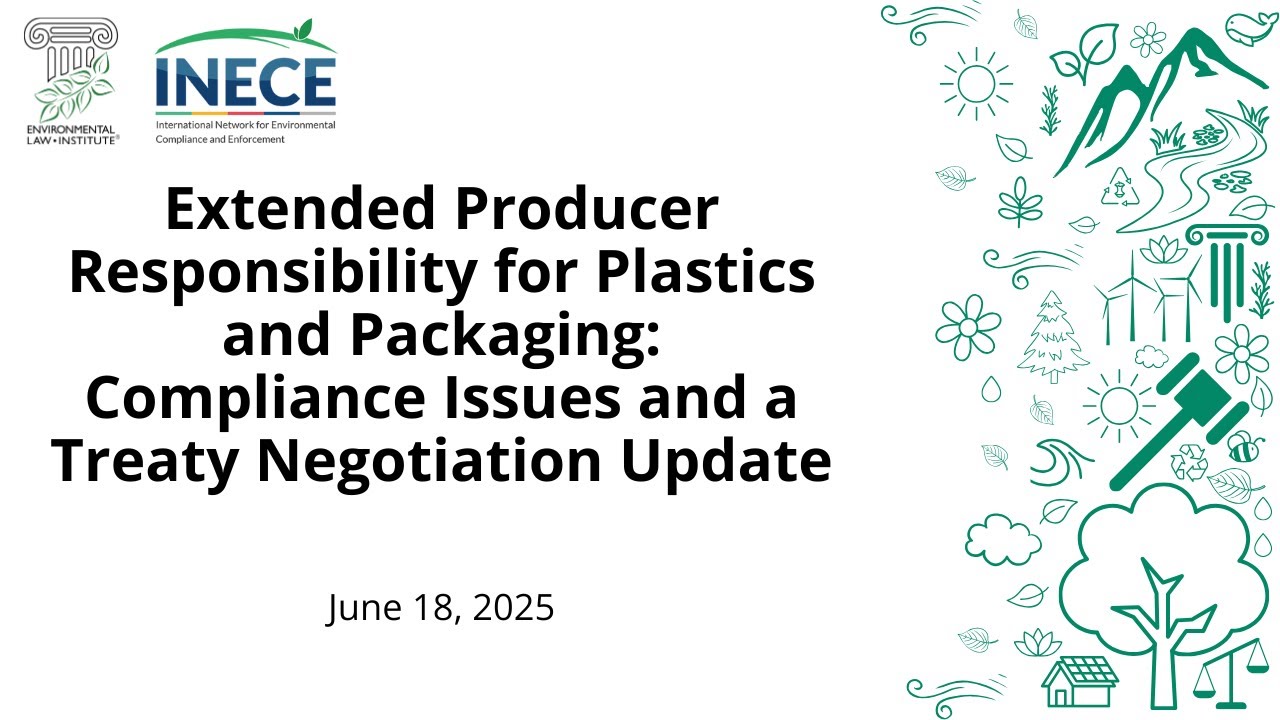 Extended Producer Responsibility for Plastics & Packaging: Compliance Issues & Treaty Negotiations