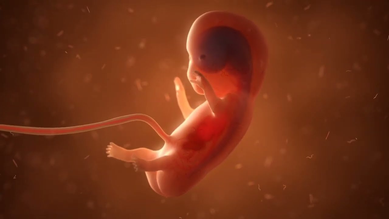 Cells4Life - The UK's leading stem cell bank