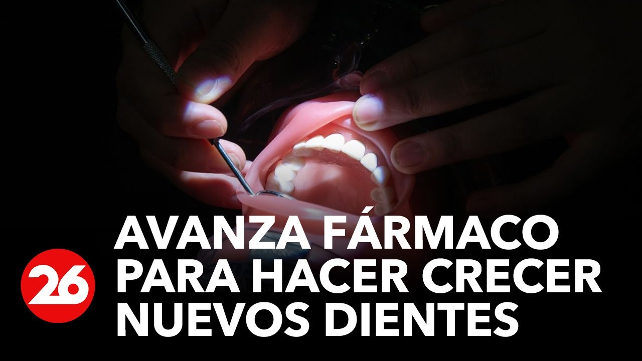 JAPÓN | Avanza fármaco para hacer crecer nuevos dientes