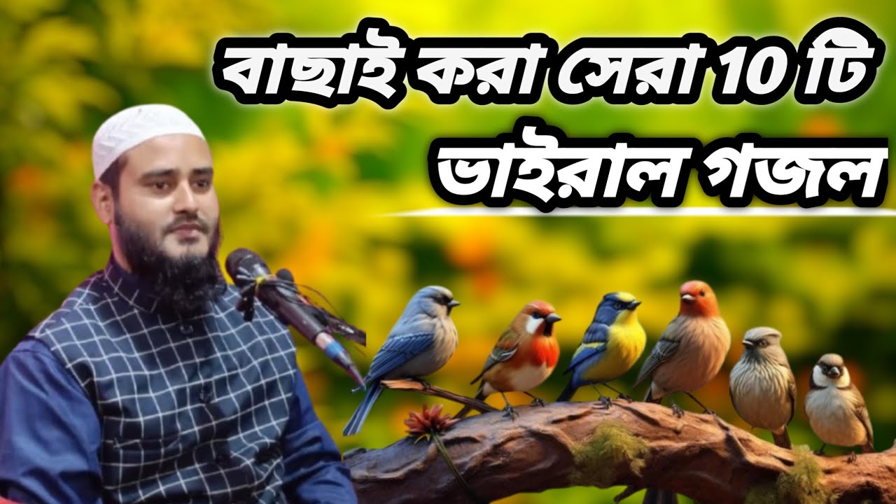 বাছাই করা সেরা দশটি গজল মাওলানা হায়দার আলী সালাফি Maulana Haidar Ali salafi #haidar_ghazals #gojol