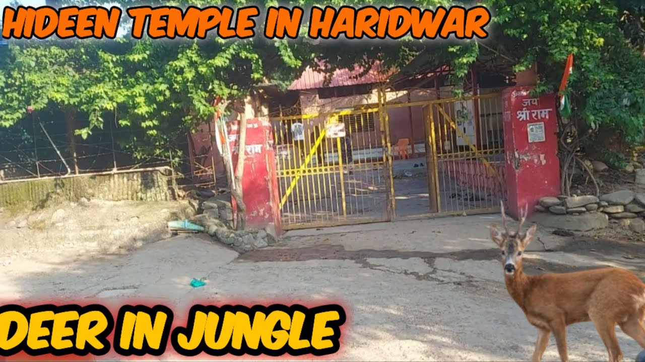 || HIDEEN TEMPLES IN HARIDWAR || Found a Lot Of Deer🦌 And Peacock🦚  In The Forest ||❤️