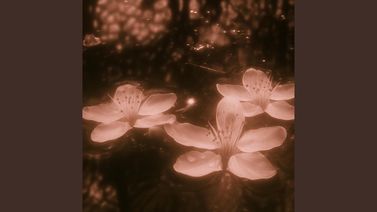 Out of Focus