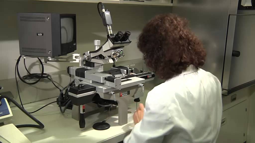 Yeast - Tetrade Dissection and Robotic Screening