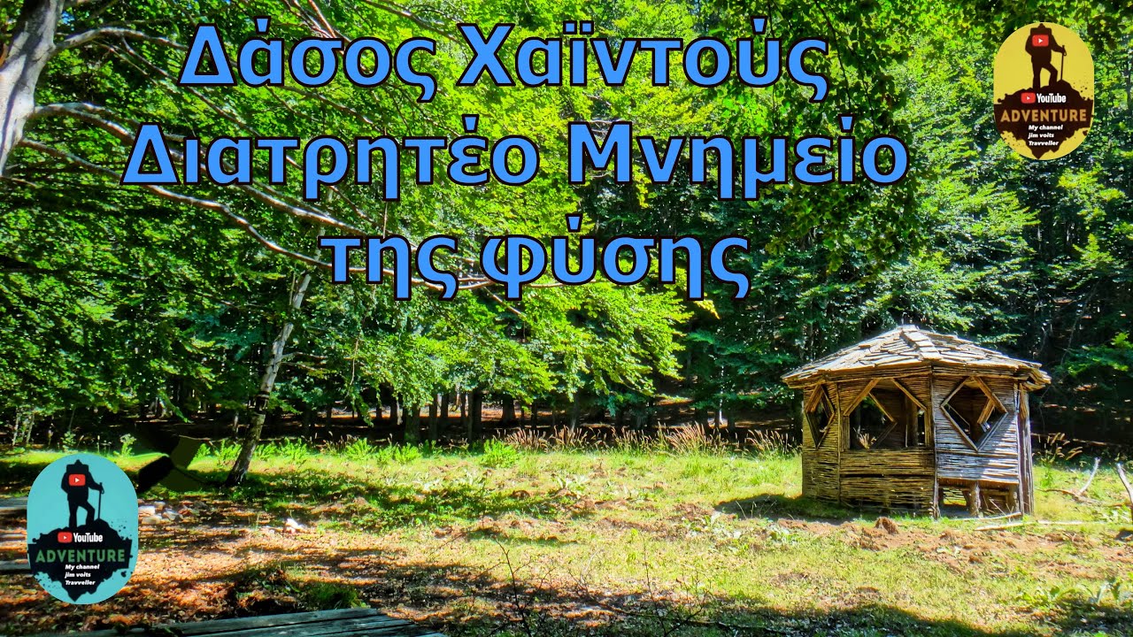 Διατηρητέο μνημείο της φύσης το δάσος της Χαϊντούς.