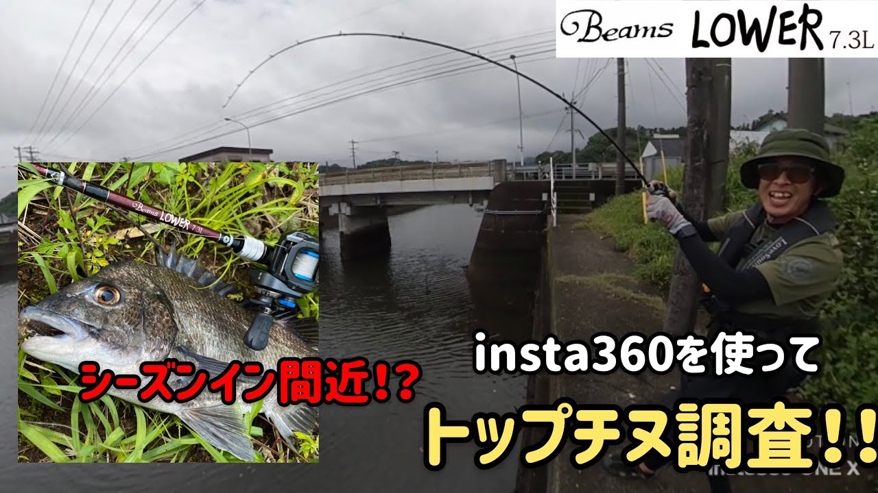 【チヌ・黒鯛】今季トップチヌ調査！(insta360)
