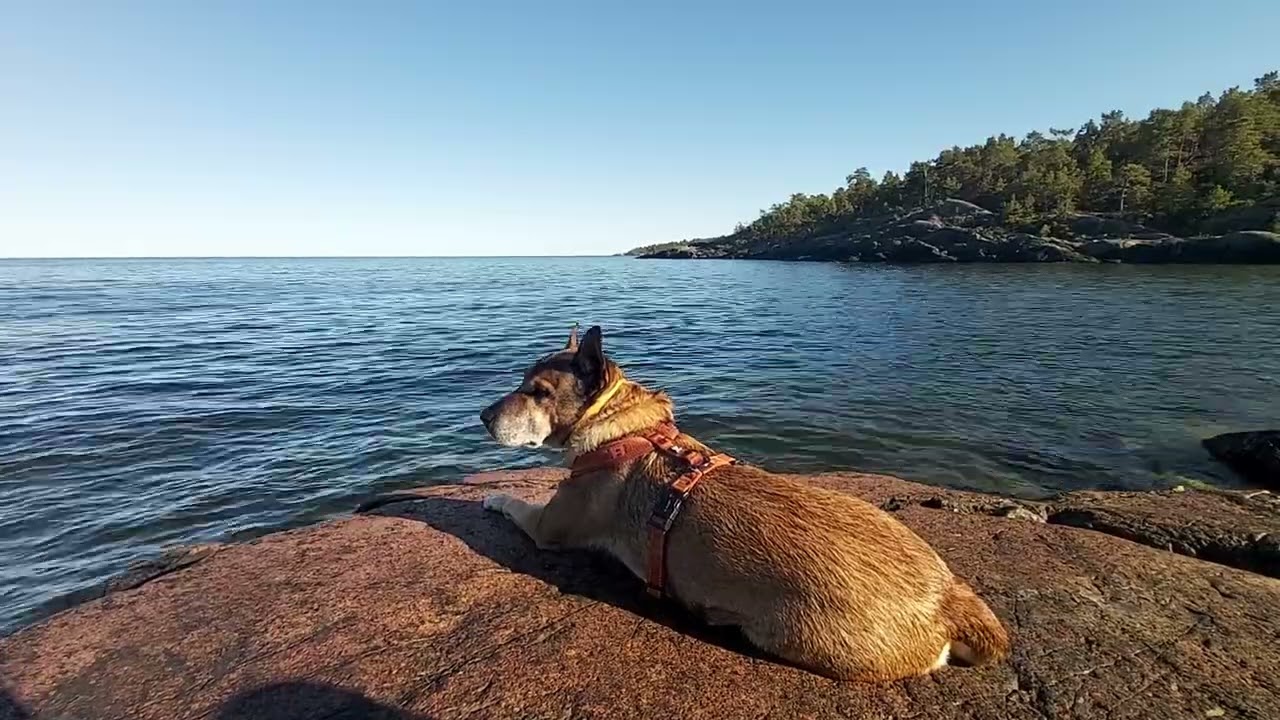 Grisslehamn, Aja, Sea of Aland, Sweden 2022