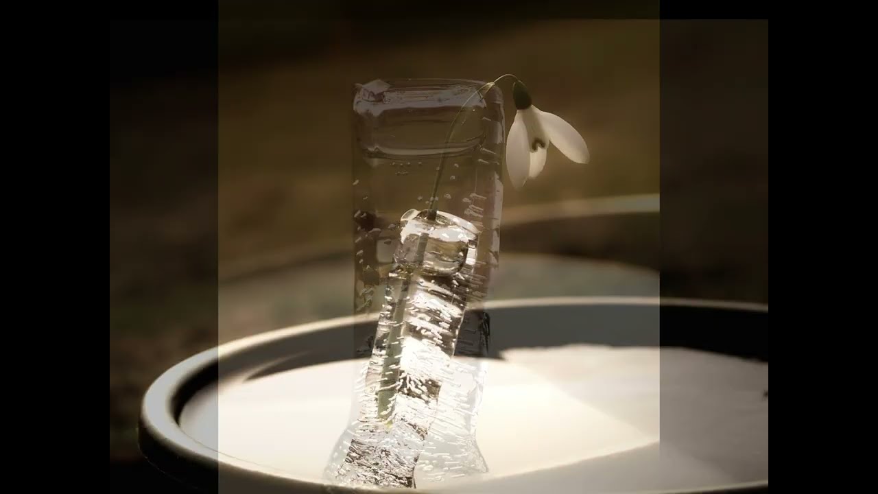 13 Years of Ice Spikes and Vases