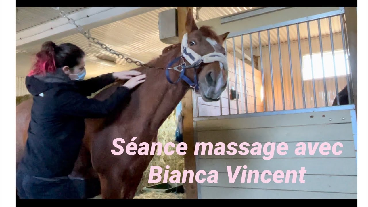 Un massage pour mon cheval ? Et oui !