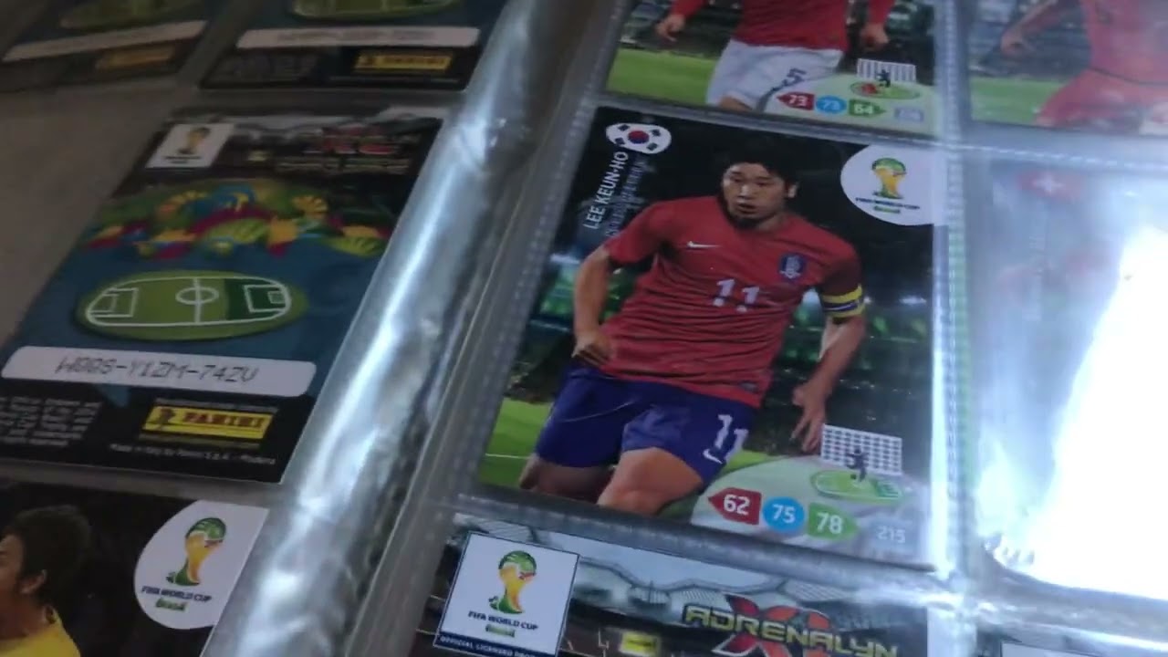 Panini VB 2014 Album bemutat&oacute; #retro