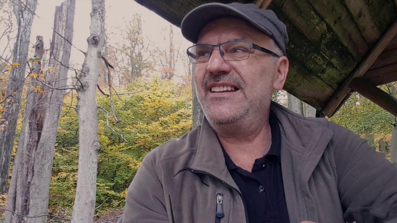 Wanderung #11 Motivationstief, ein trüber Tag im Wald