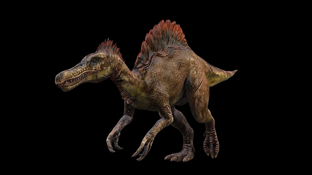 Spinosaurus | Spino Dinosaur(ShortVer)
