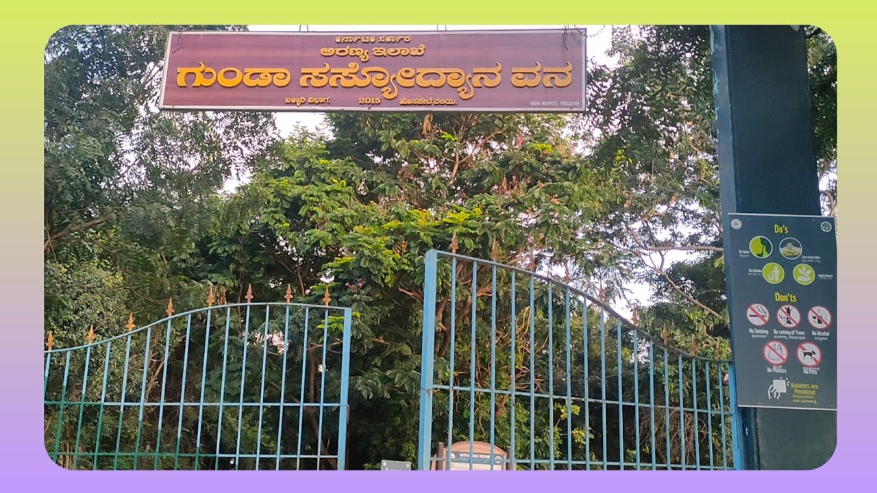 #gunda forest |gunda 🌲 tree forest Hospet | Ruchika vlogs |