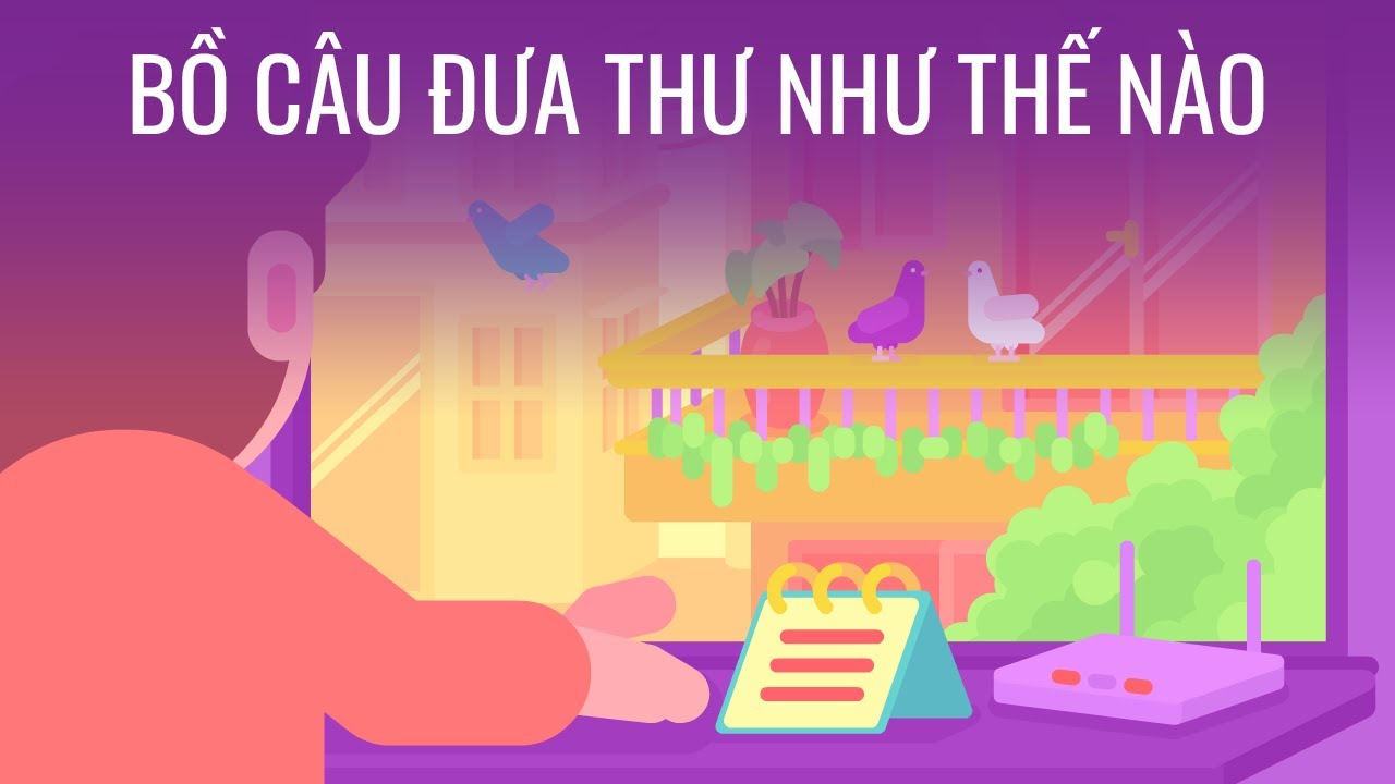 Chim bồ câu đưa thư như thế nào?
