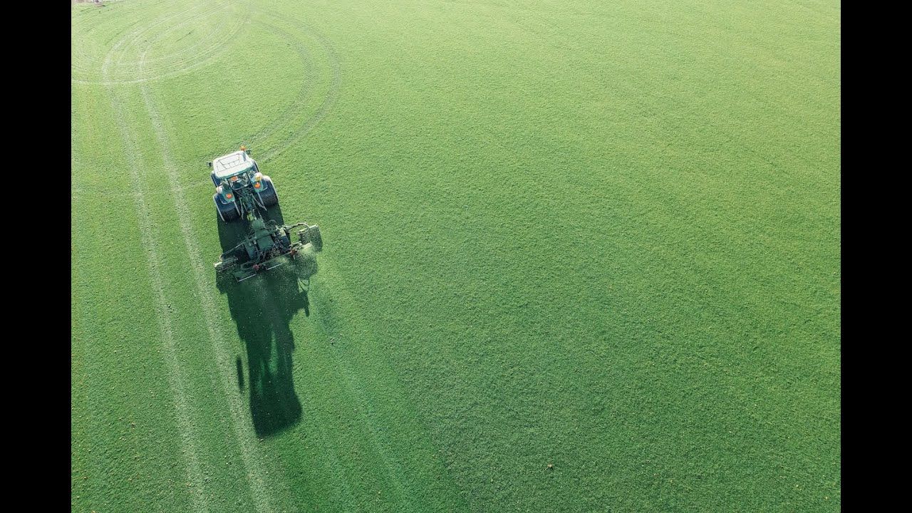 Tillers Turf Talk Ep 2 - Arena Gold Turf