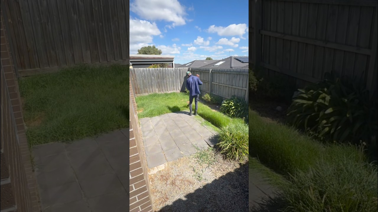 Snip snip 🌱🧹 #satisfying #gardening #lawn #garden #homegardening #asmr #transformation